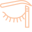 eyebrow